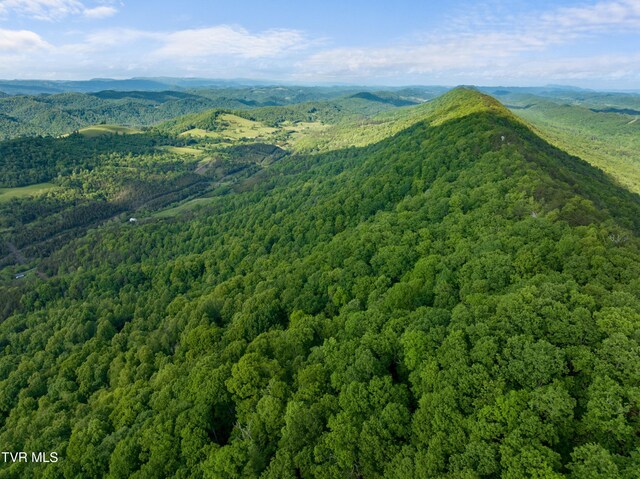 1250 Clinch Mountain Rd, Eidson, TN 37731 - photo 17