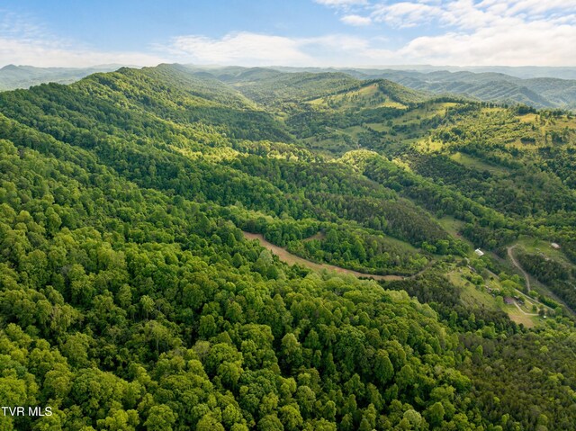 1250 Clinch Mountain Rd, Eidson, TN 37731 - photo 18