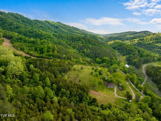 1250 Clinch Mountain Rd, Eidson, TN 37731 - photo 20