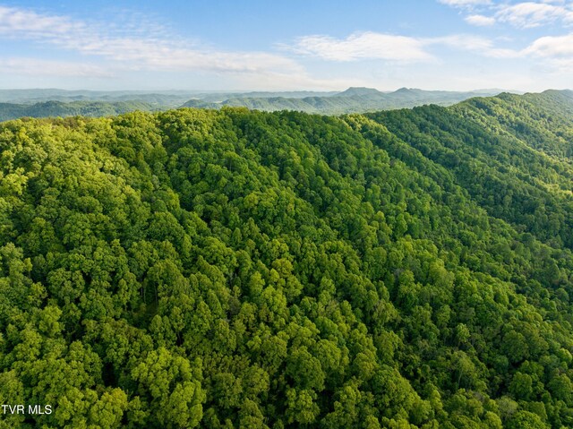 1250 Clinch Mountain Rd, Eidson, TN 37731 - photo 22