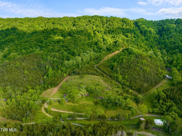 1250 Clinch Mountain Rd, Eidson, TN 37731 - photo 23