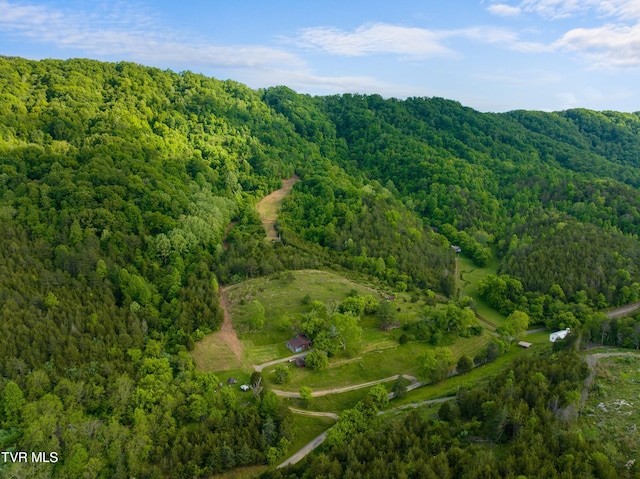 1250 Clinch Mountain Rd, Eidson, TN 37731 - photo 24