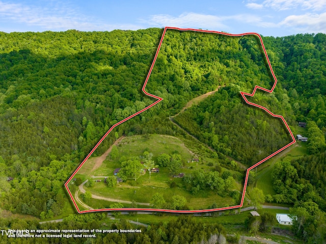 1250 Clinch Mountain Rd, Eidson, TN 37731 - photo 1