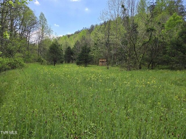 1250 Clinch Mountain Rd, Eidson, TN 37731 - photo 27