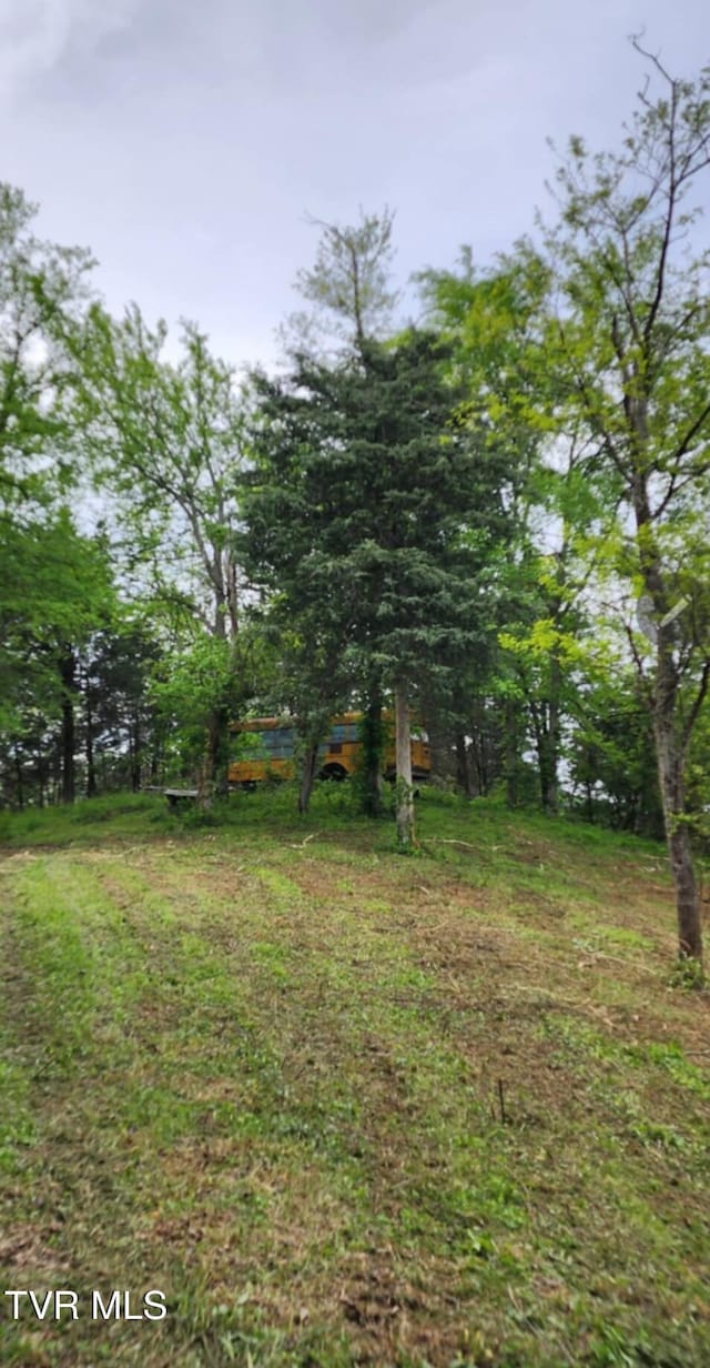 1250 Clinch Mountain Rd, Eidson, TN 37731 - photo 28