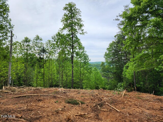 1250 Clinch Mountain Rd, Eidson, TN 37731 - photo 3