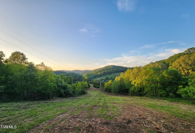 1250 Clinch Mountain Rd, Eidson, TN 37731 - photo 2