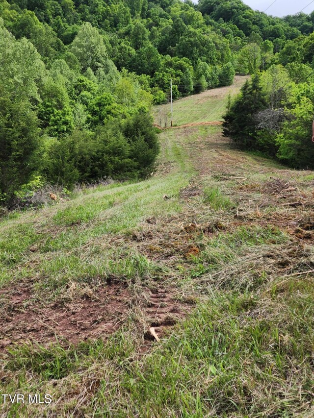 1250 Clinch Mountain Rd, Eidson, TN 37731 - photo 30