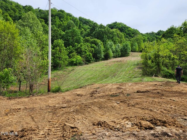 1250 Clinch Mountain Rd, Eidson, TN 37731 - photo 31