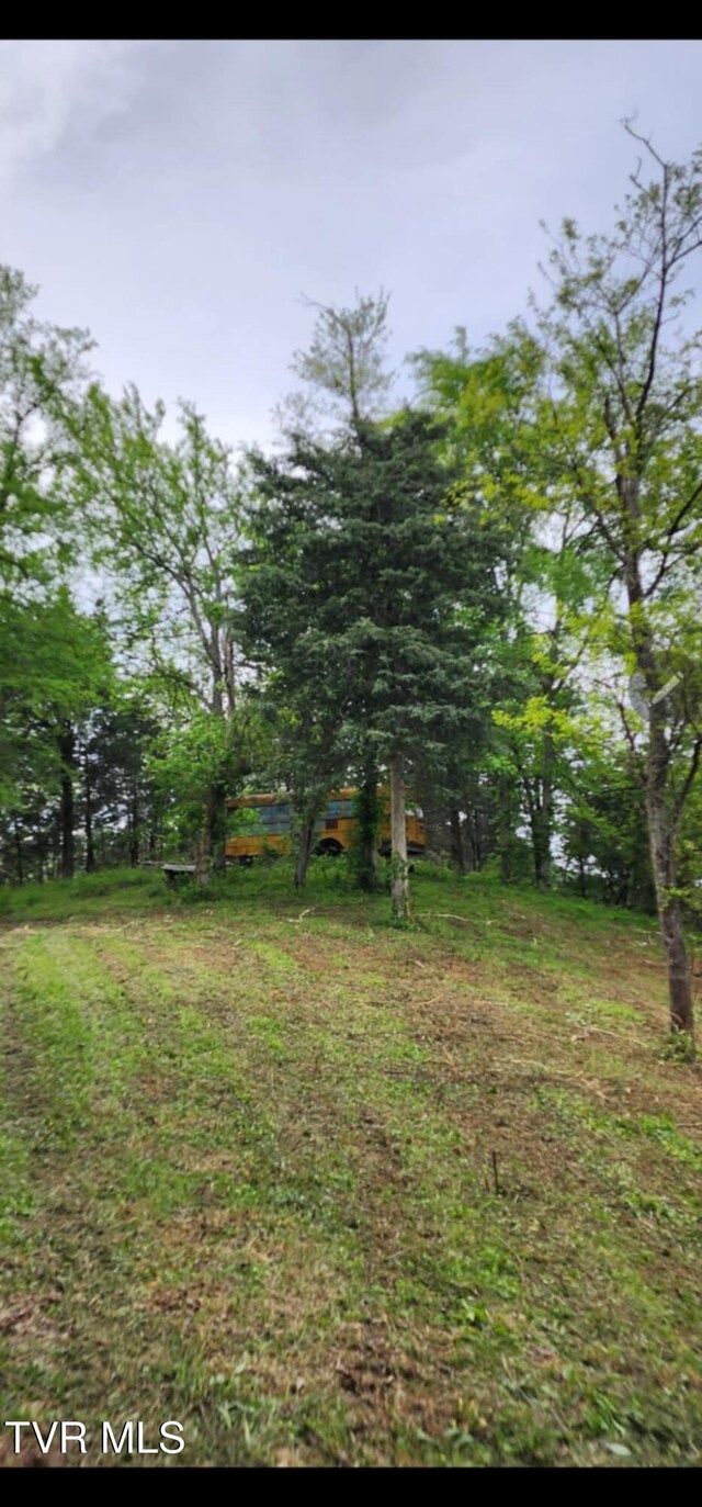 1250 Clinch Mountain Rd, Eidson, TN 37731 - photo 32
