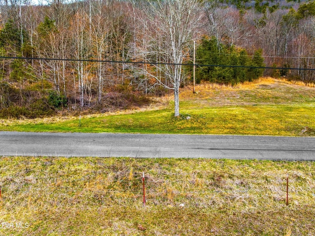 0 Poor Valley Rd, Rogersville, TN 37857 - photo 4