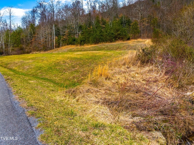 0 Poor Valley Rd, Rogersville, TN 37857 - photo 5