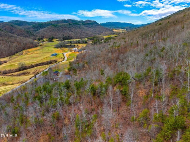 0 Poor Valley Rd, Rogersville, TN 37857 - photo 8