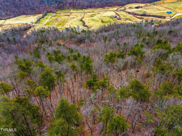 0 Poor Valley Rd, Rogersville, TN 37857 - photo 10