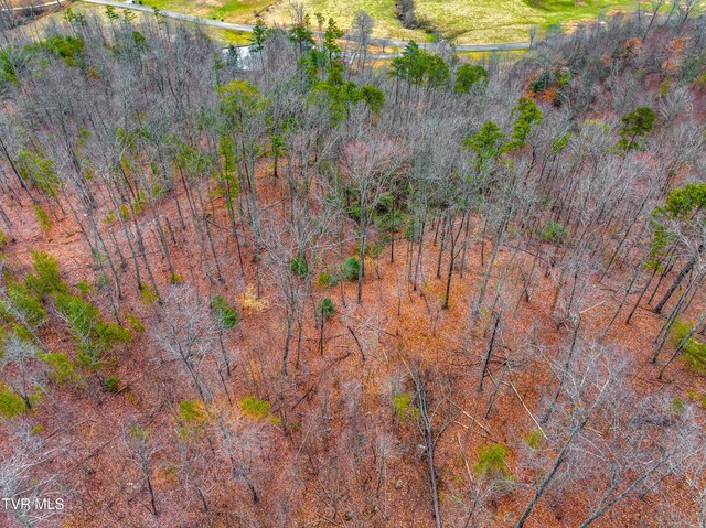 0 Poor Valley Rd, Rogersville, TN 37857 - photo 11