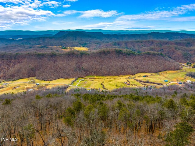 0 Poor Valley Rd, Rogersville, TN 37857 - photo 12