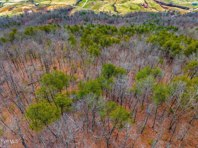 0 Poor Valley Rd, Rogersville, TN 37857 - photo 13