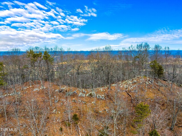 0 Poor Valley Rd, Rogersville, TN 37857 - photo 14