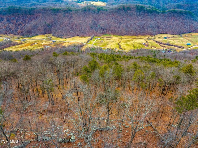 0 Poor Valley Rd, Rogersville, TN 37857 - photo 15