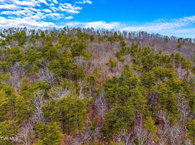 0 Poor Valley Rd, Rogersville, TN 37857 - photo 16