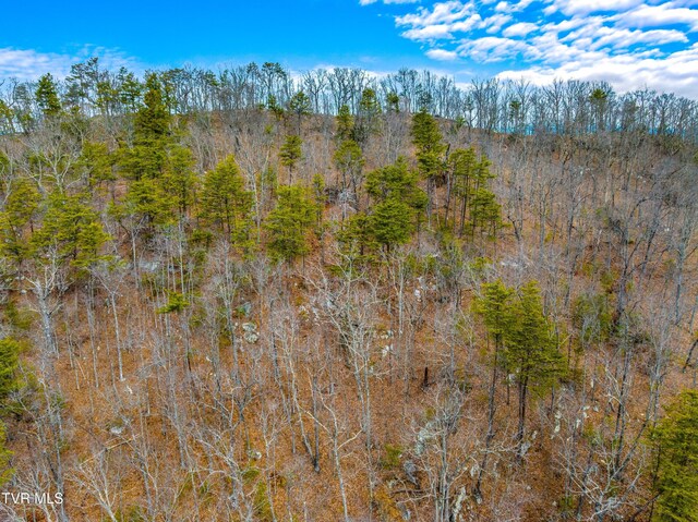 0 Poor Valley Rd, Rogersville, TN 37857 - photo 17