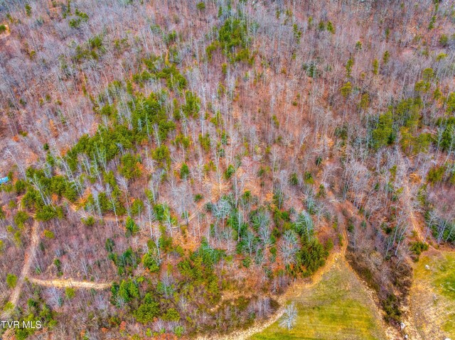 0 Poor Valley Rd, Rogersville, TN 37857 - photo 20