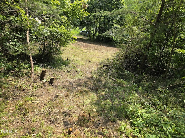 0 Poor Valley Rd, Rogersville, TN 37857 - photo 23