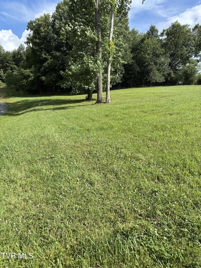 1095 Reynolds Rd, Piney Flats, TN 37686 - photo 4