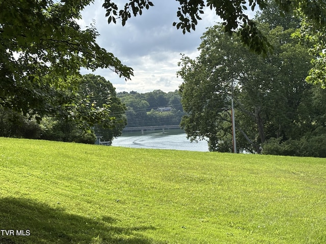 1095 Reynolds Rd, Piney Flats, TN 37686 - photo 8