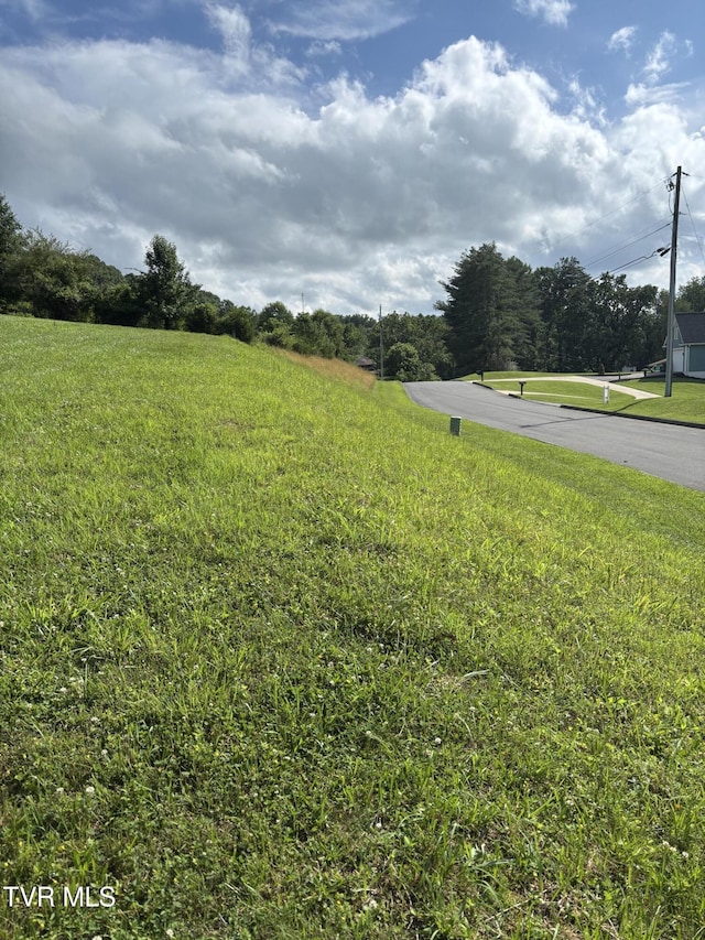 1095 Reynolds Rd, Piney Flats, TN 37686 - photo 5