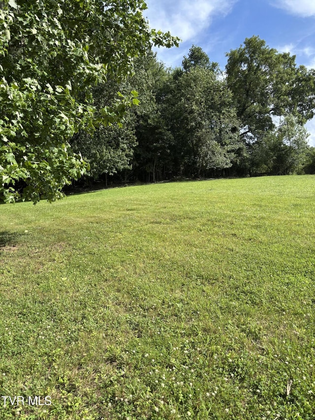 1095 Reynolds Rd, Piney Flats, TN 37686 - photo 9