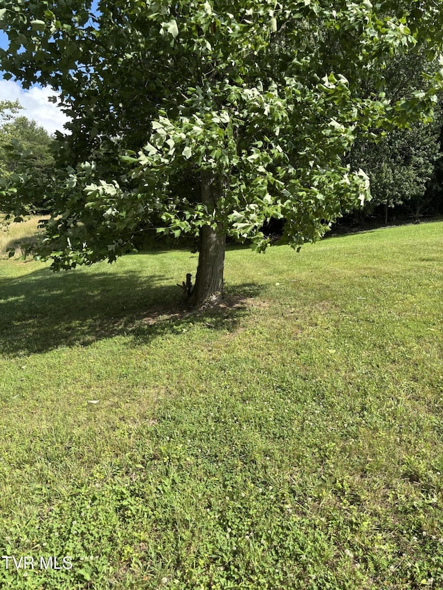 1095 Reynolds Rd, Piney Flats, TN 37686 - photo 10