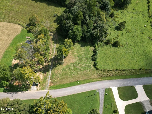 1095 Reynolds Rd, Piney Flats, TN 37686 - photo 14