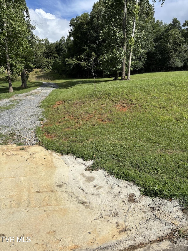 1095 Reynolds Rd, Piney Flats, TN 37686 - photo 11
