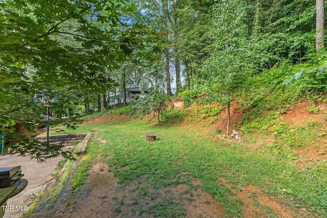 720 Holly Ave, Erwin, TN 37650 - photo 19
