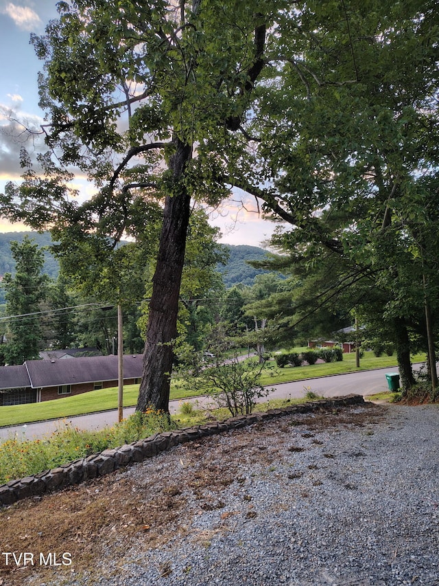 720 Holly Ave, Erwin, TN 37650 - photo 26