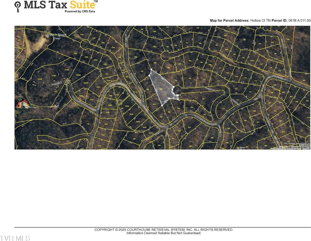 TR1 Hollow Ct, White Pine, TN 37890