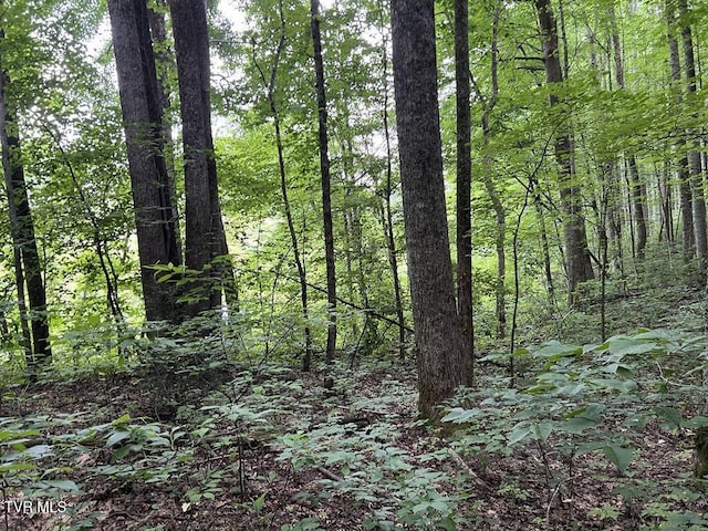TBD Jim Deal Rd, Elizabethton, TN 37643