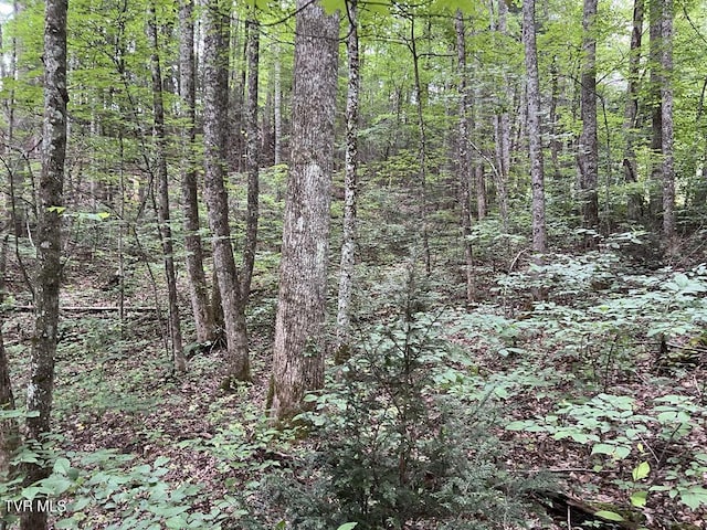 TBD Jim Deal Rd, Elizabethton, TN 37643