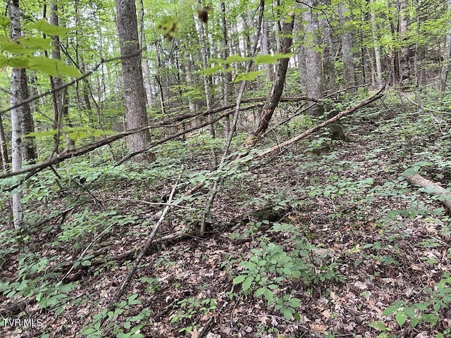 TBD Jim Deal Rd, Elizabethton, TN 37643