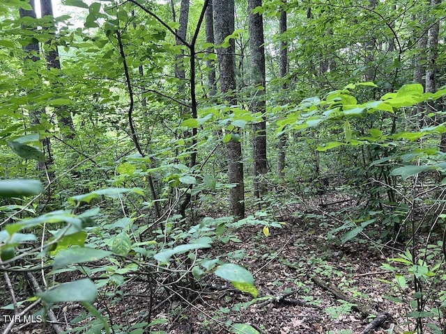 TBD Jim Deal Rd, Elizabethton, TN 37643