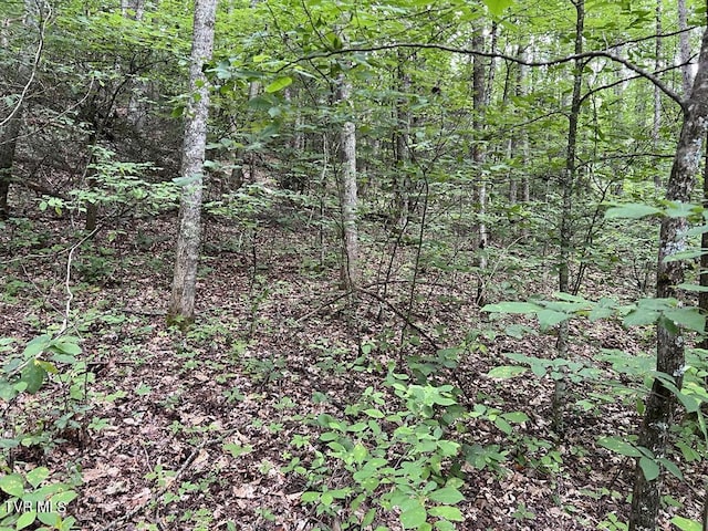 TBD Jim Deal Rd, Elizabethton, TN 37643