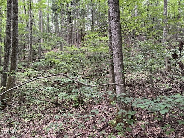 TBD Jim Deal Rd, Elizabethton, TN 37643