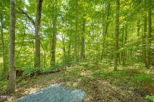 TBD Jim Deal Rd, Elizabethton, TN 37643