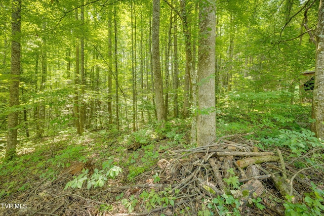 TBD Jim Deal Rd, Elizabethton, TN 37643