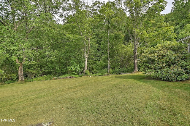 325 Cove Creek Rd, Roan Mountain, TN 37687 - view of green lawn