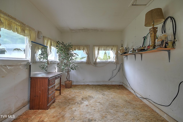 325 Cove Creek Rd, Roan Mountain, TN 37687 - below grade area with light carpet