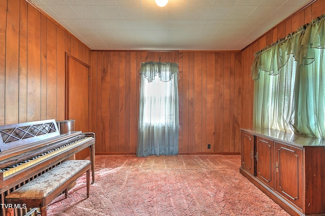 325 Cove Creek Rd, Roan Mountain, TN 37687 - living area with light colored carpet and wooden walls