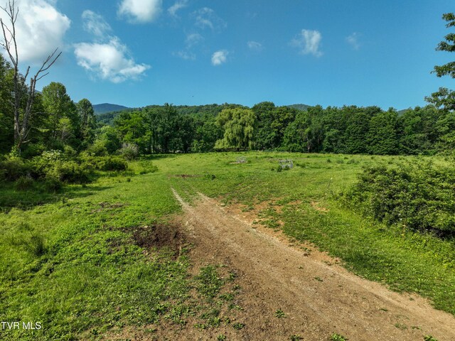 325 Cove Creek Rd, Roan Mountain, TN 37687