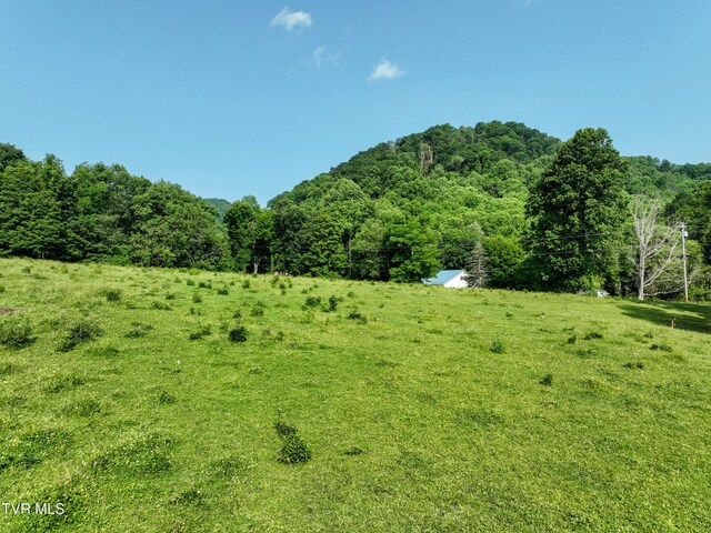 325 Cove Creek Rd, Roan Mountain, TN 37687